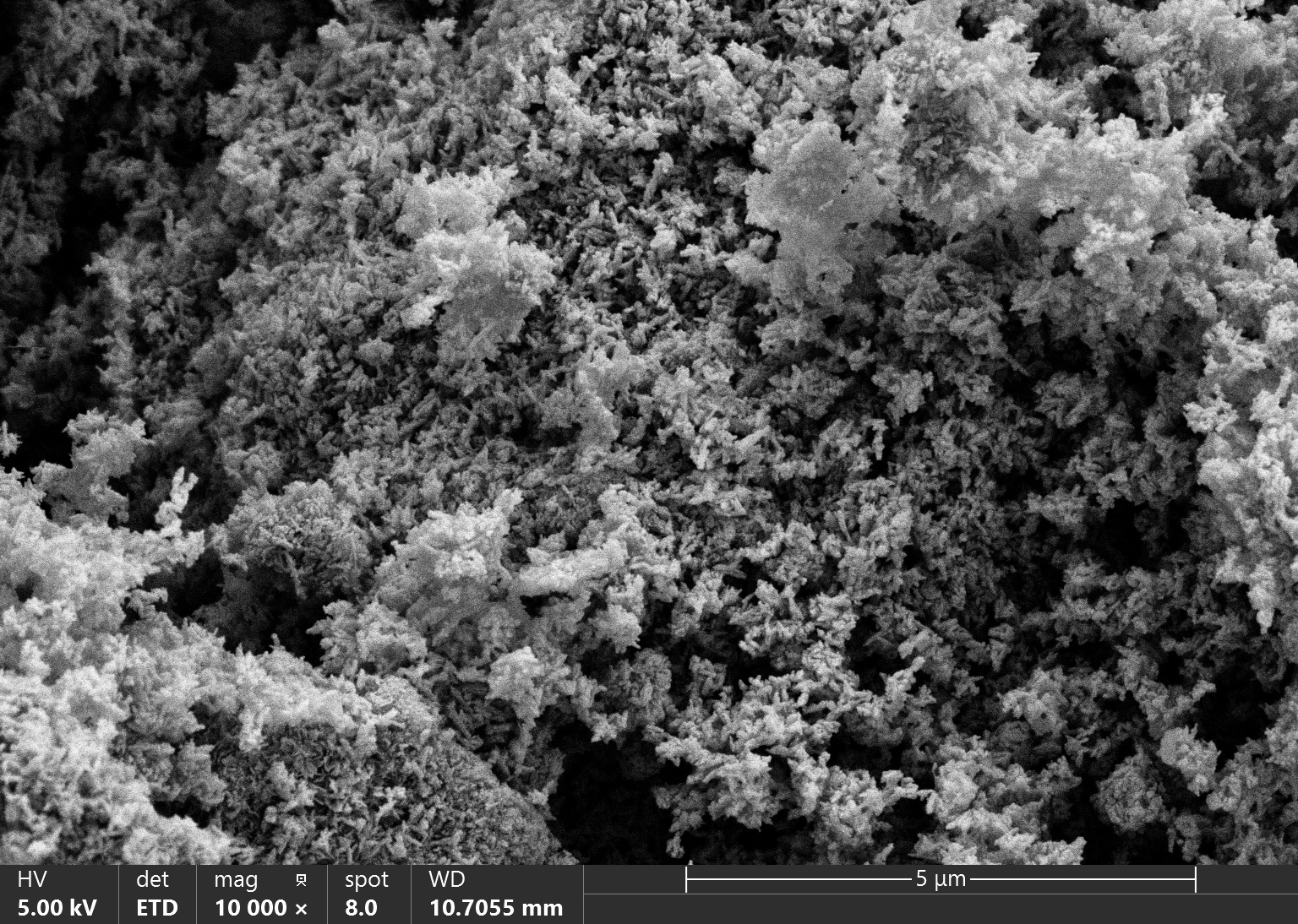 Hydroxyapatite (HAp) Powder for Oral Care, Type II