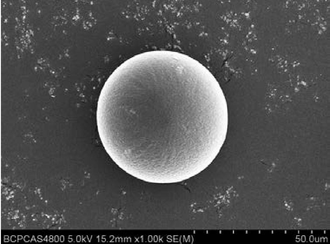 PLGA Microspheres