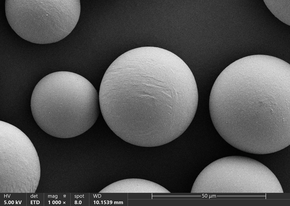 CaHA SEM Micrograph